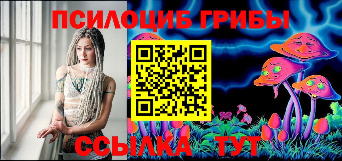 Галлюциногенные грибы Psilocybe Североморск