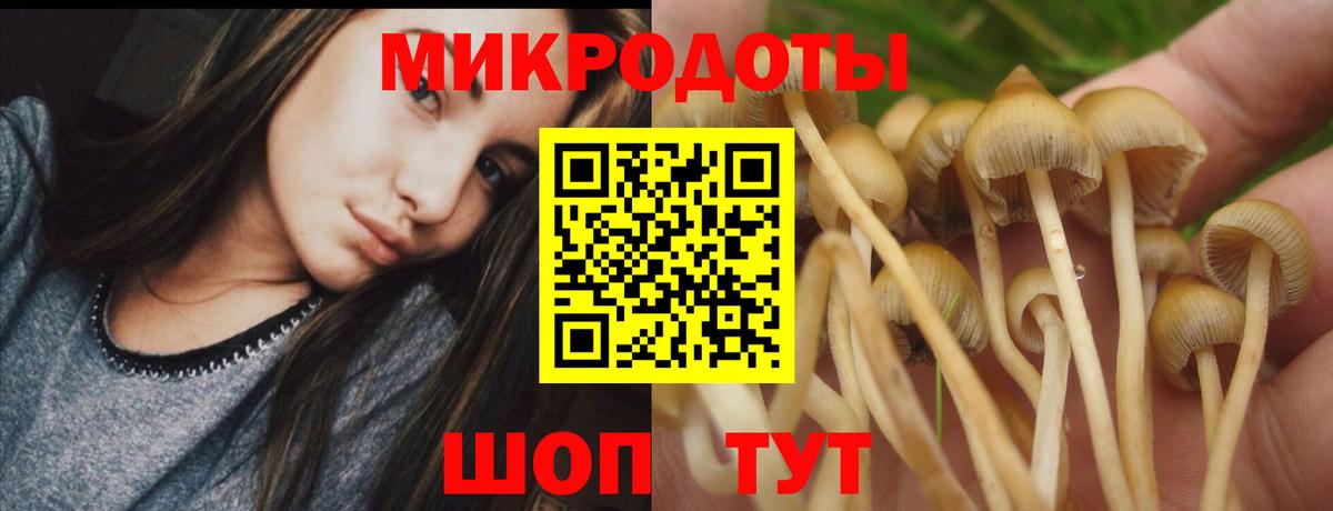 Североморск  Псилоцибиновые грибы мухоморы  Галлюциногенные грибы Psilocybine cubensis  Вход с VPN 