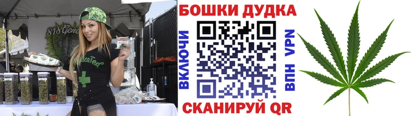 Бошки марихуана план  omg сайт  Североморск  наркота 